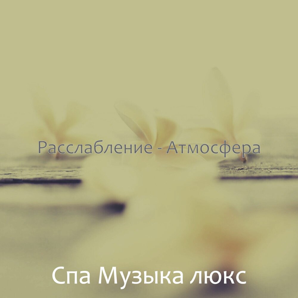 Расслабить атмосферу. Раз уж начал побеждай. Цитата раз уж начал побеждай. Раз уж начал побеждай Хемингуэй. Побеждай!.