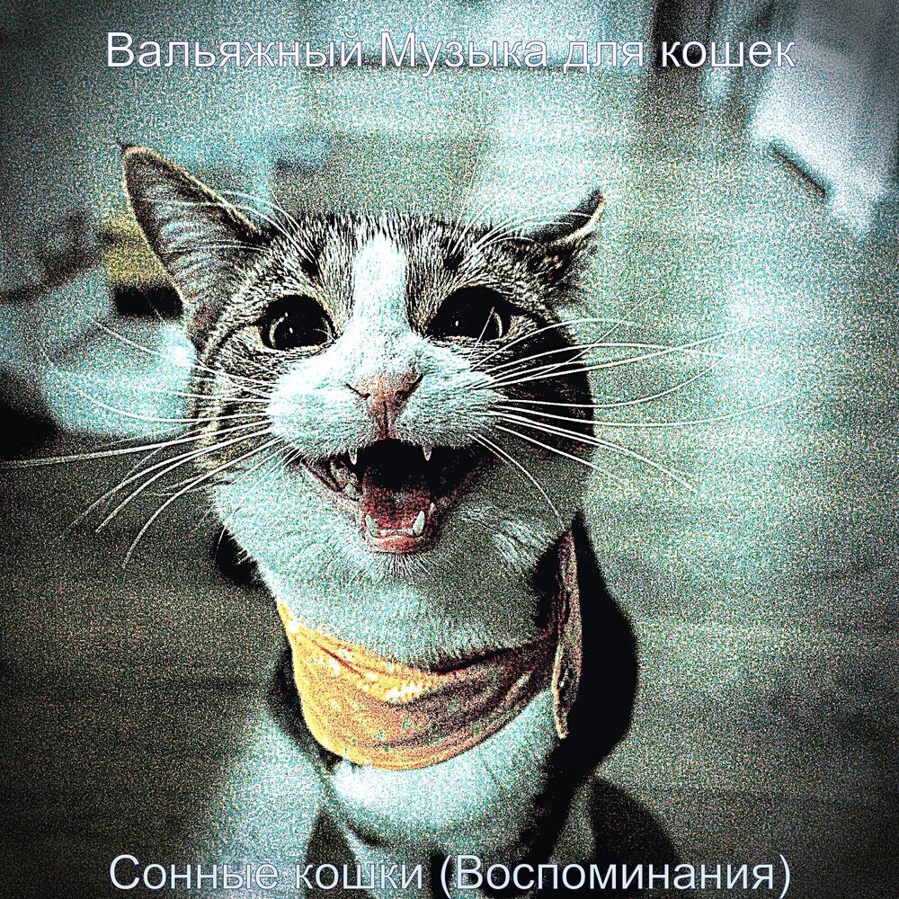 звуки кошек для кошек. колыбельная про кошку и котят. музыкальный кот. музыка для кошек. песня про кошку.