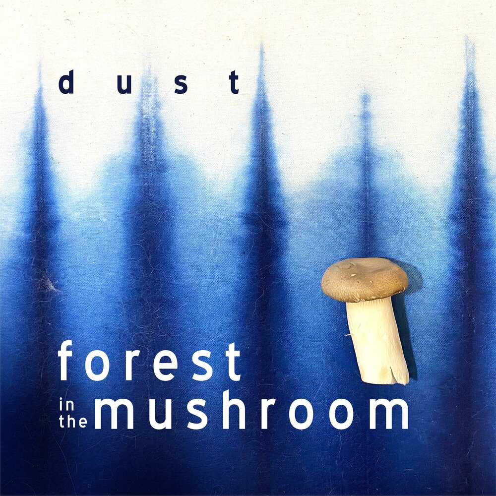 Dust song