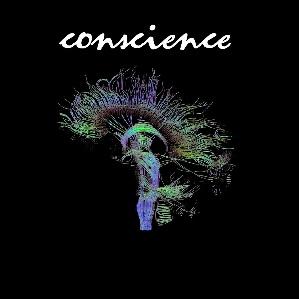 Day conscience.