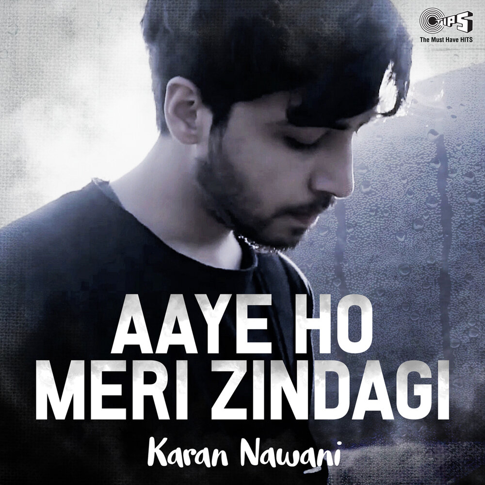 Aaye. Aaye ho Meri Zindagi Mein | Udit Narayan | Aamir | Karisma | Evergreen Love Song. Shake Karan mp3. Каран песни