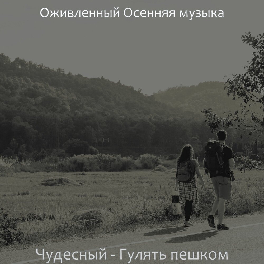 Как чудесно гулять в светлой. Как чудесно гулять в светлой