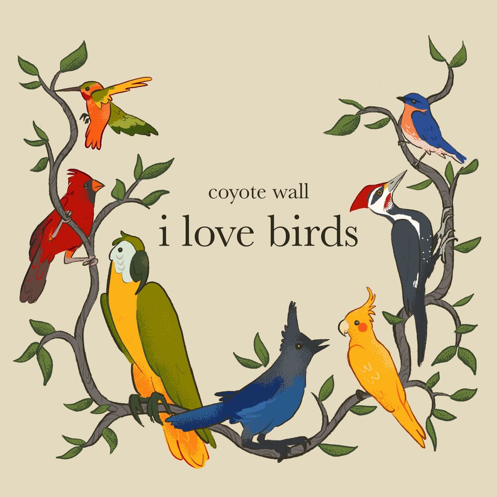 I love birds. Travis Birds – Coyotes.
