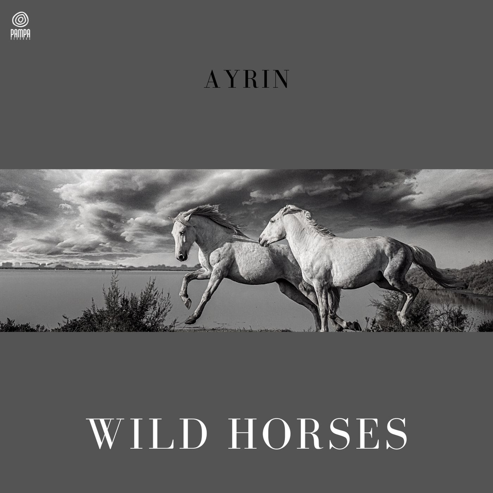 Песня wild horses. Wild Horses - the Nashville album.