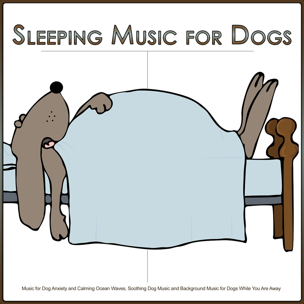 Sleep dog перевод