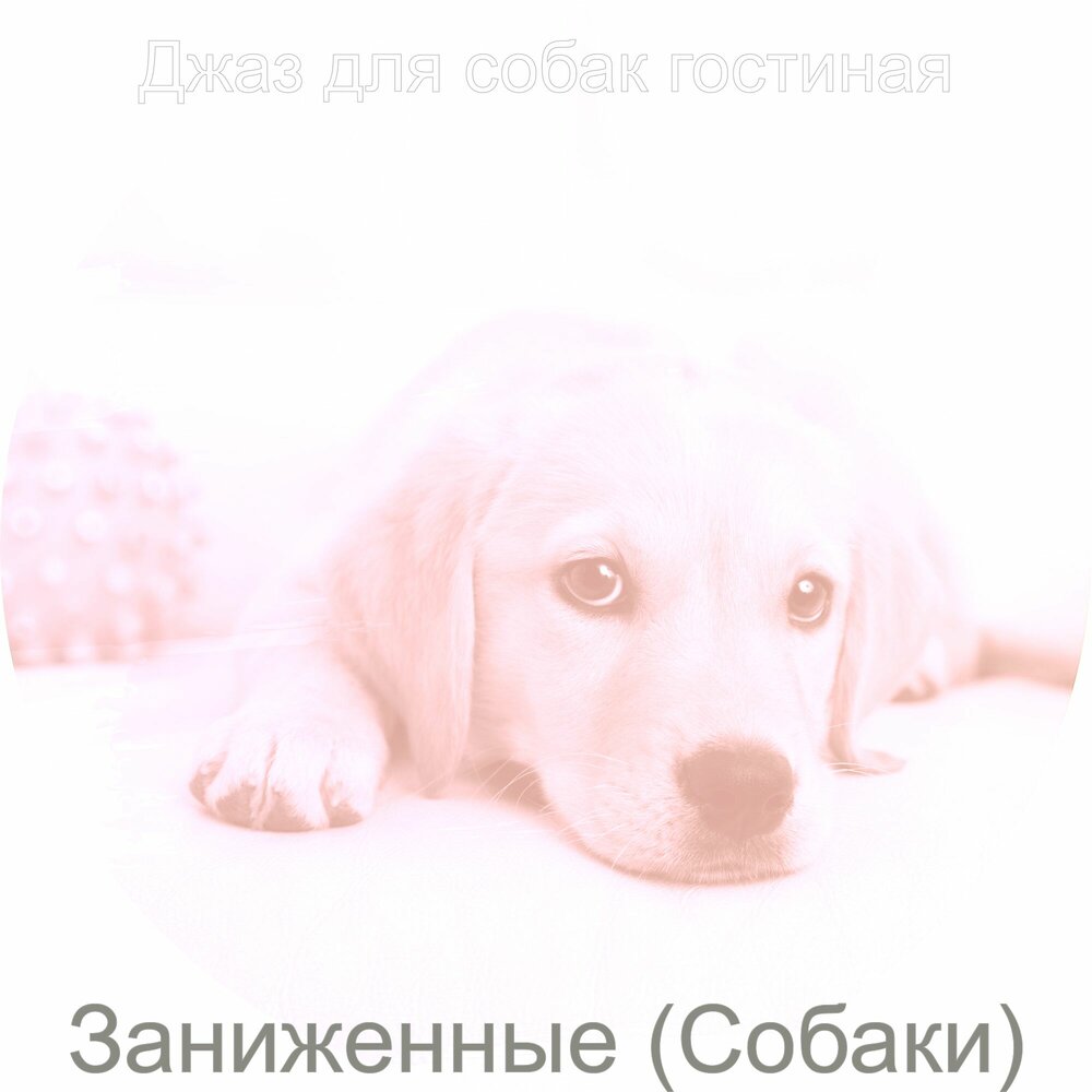 Милые звуки. Милые звуки
