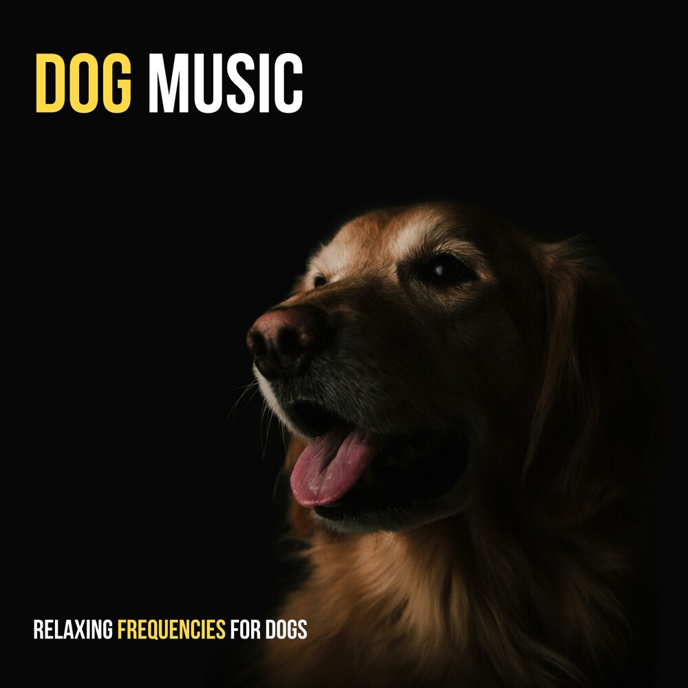 Dog music