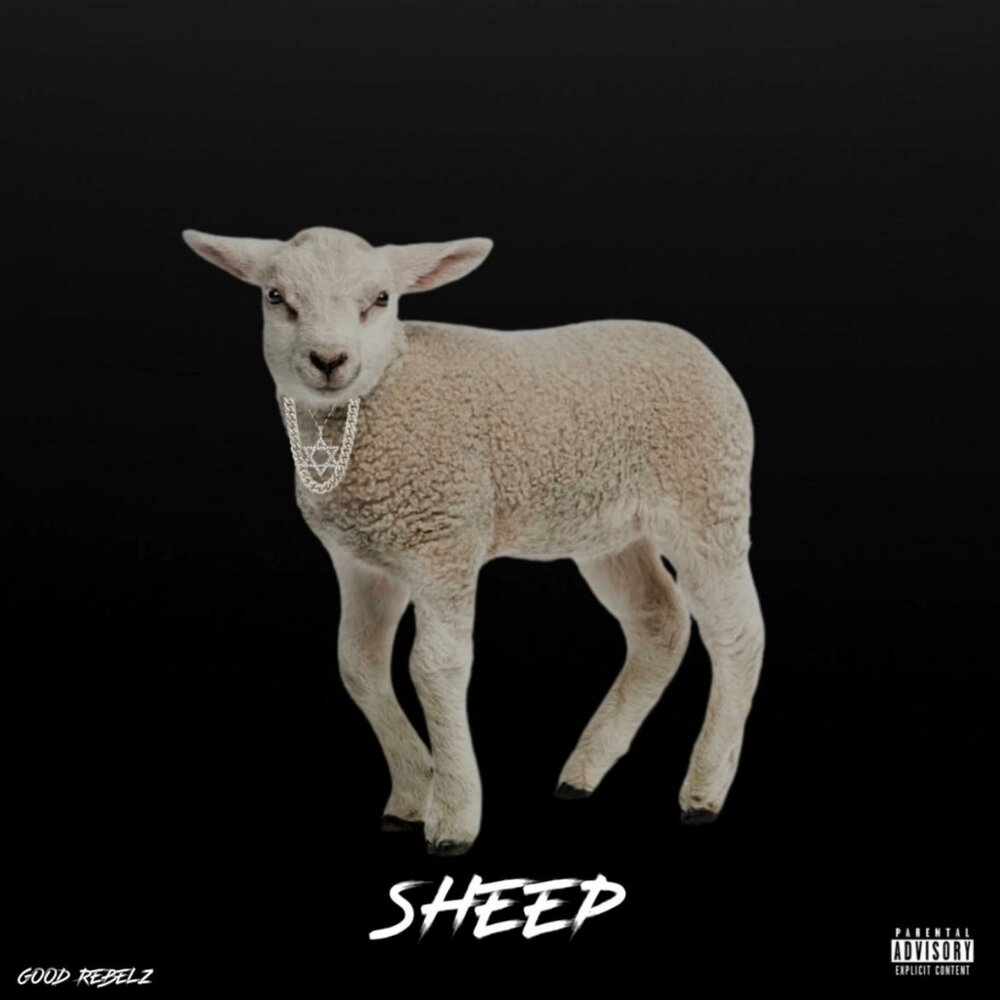 Sheep слушать