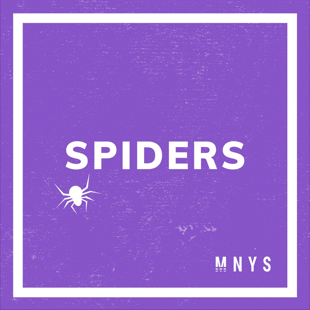 Песня спайдер. The Spider альбом. Spider текст. Spider группа.