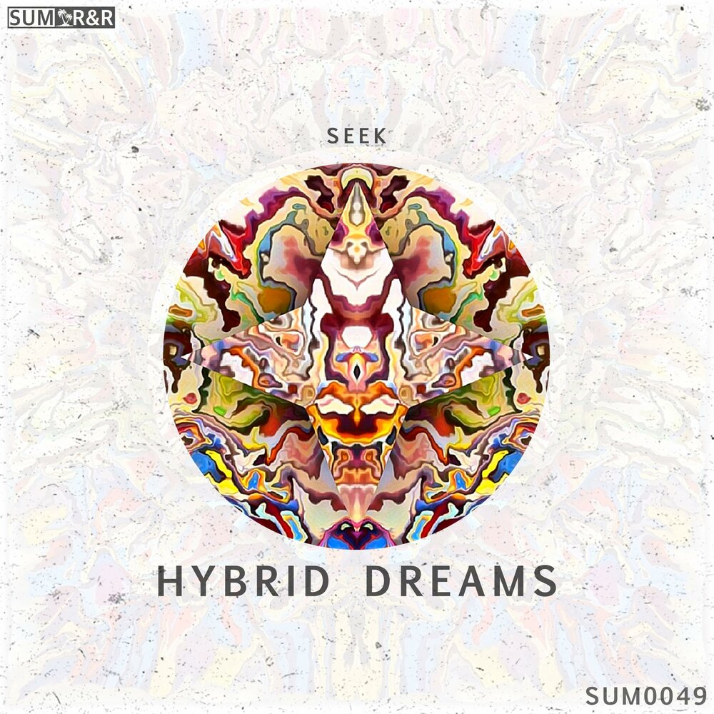 Seek song. Raw Hybrid Dream.