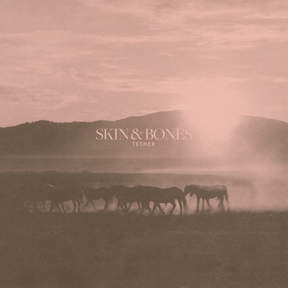 Skin and Bone. Bone Skinhead. Save me Skin & Bones. Lane 8 - Skin & Bones. Skin and bones david