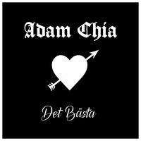 artist-cover