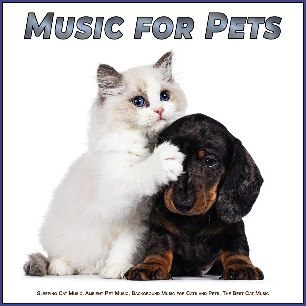 Music pets