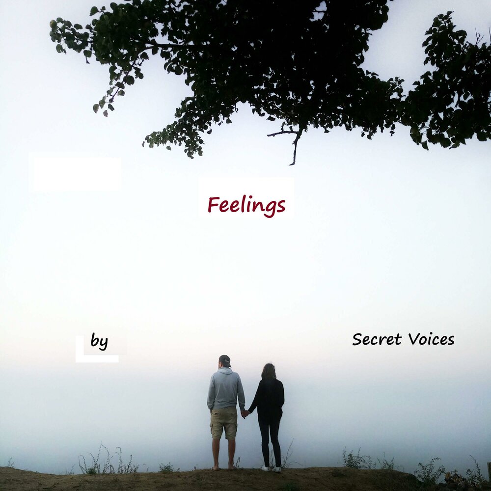 Secret voices