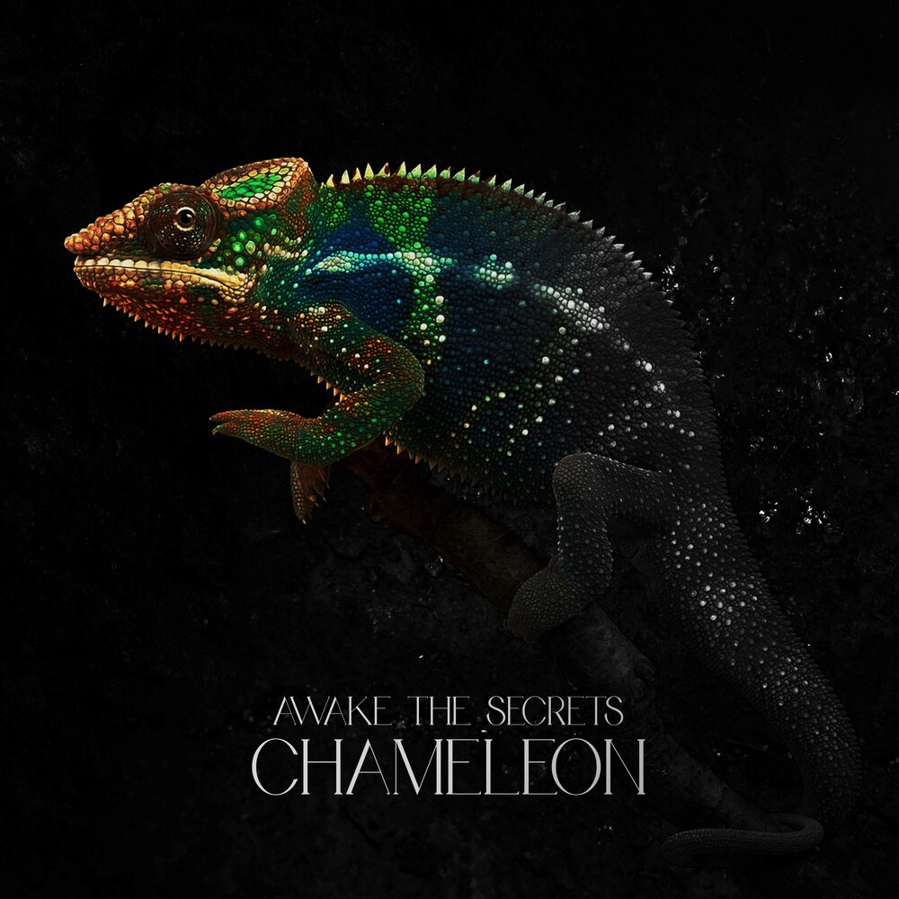 Хамелеон аудиокнига слушать. Хамелеон (2019). Хамелеон обложка. Обложка альбома хамелеон. Послушать хамелеон.