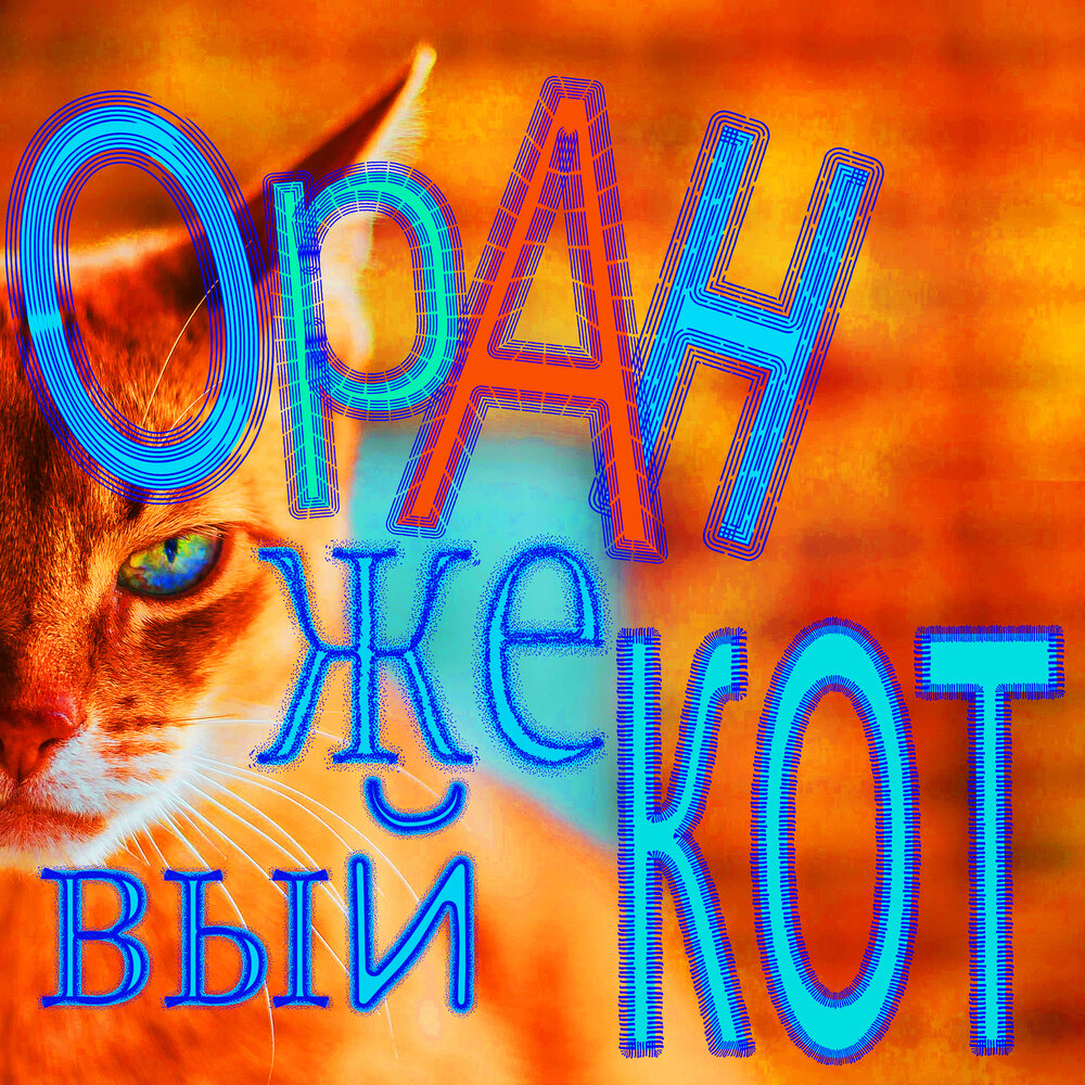 Оранжевый кот. Альбома "оранжевый кот". Альбом оранжевый кот Качан. Кот синий и оранжевый.