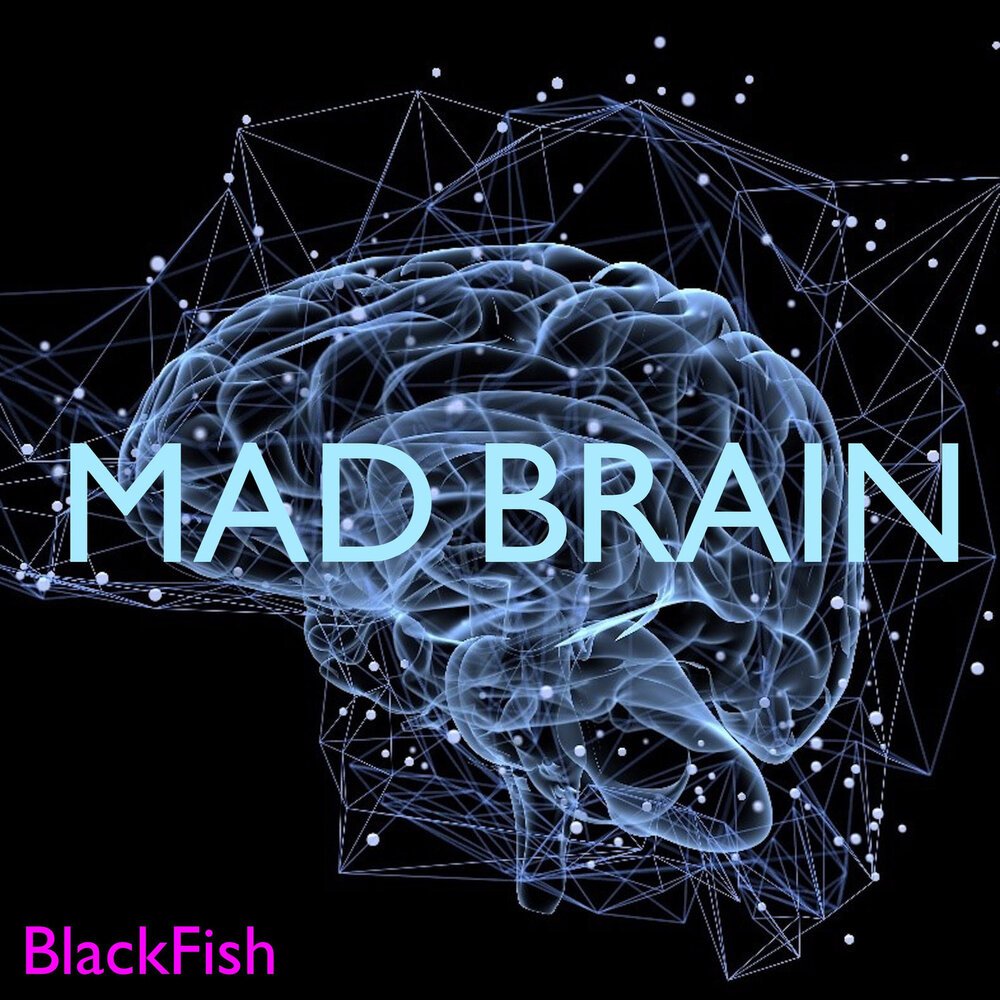 Insane in the brain hill. Mad Brains. Blackfish. Insane in the Brain откуда трек.