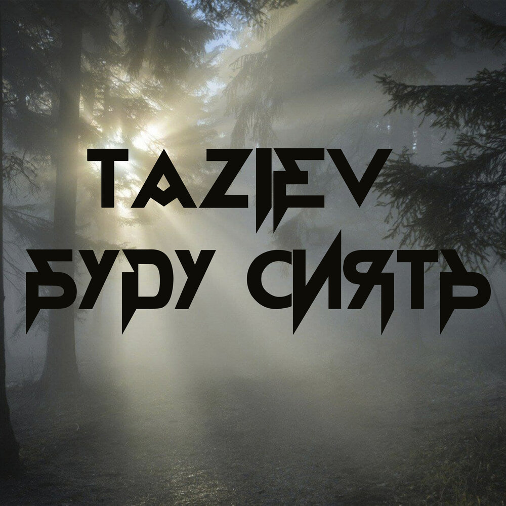 Где ты будешь сиять. Сияй надпись красивая. Сияй цитаты. В отсутствии солнца сияйте самостоятельно. Кот в мишуре смешной.
