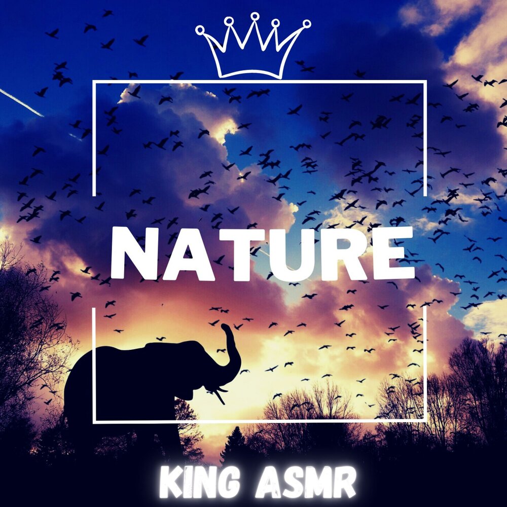 King nature