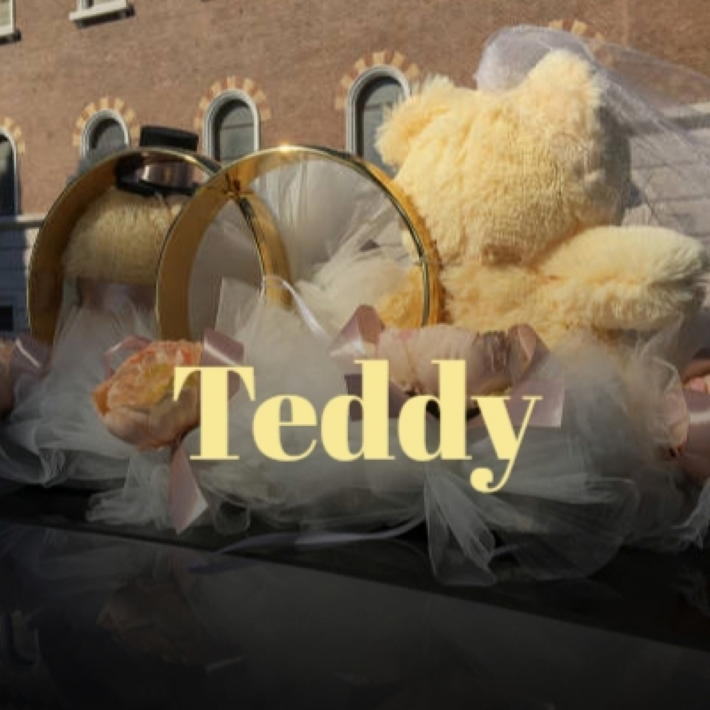 Teddy mp3