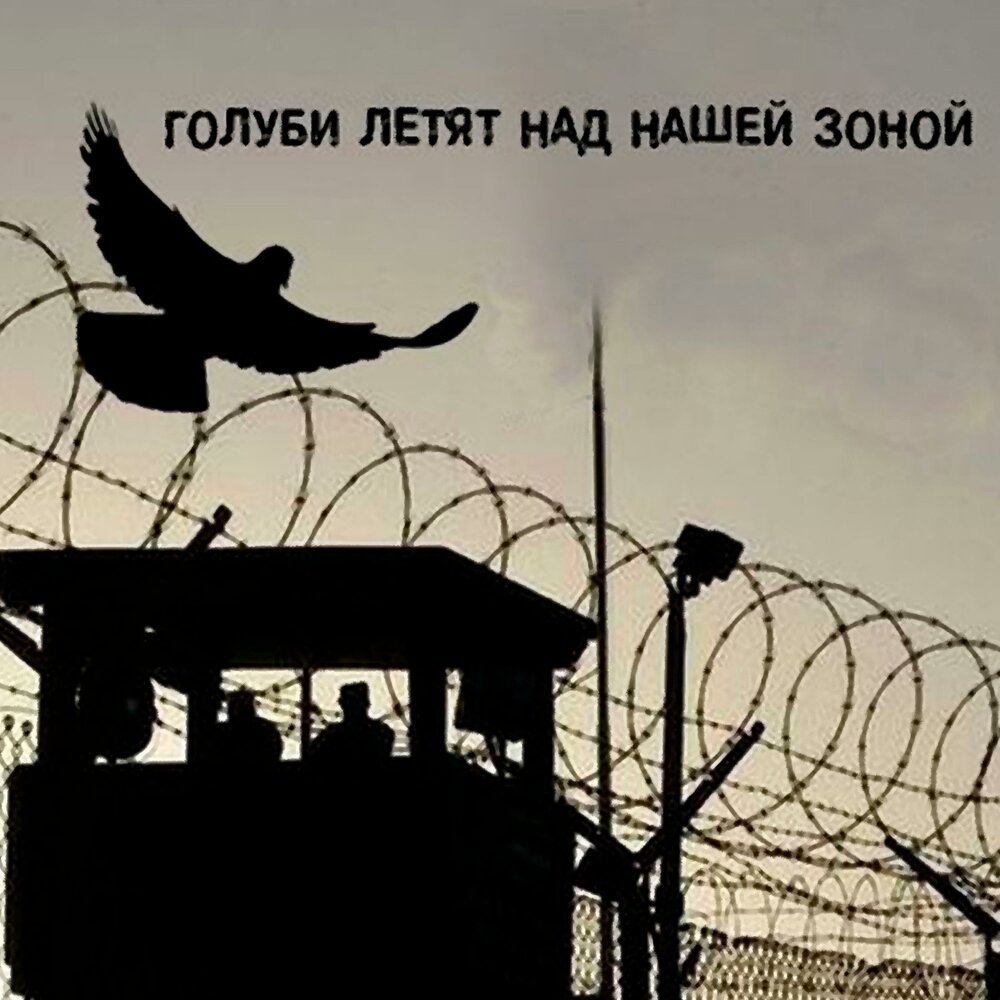 танцовщица виктора петлюры. слушать песню петлюра голуби летят. слушать песню петлюра голуби летят. слушать песню петлюра голуби летят. голуби над зоной петлюра.