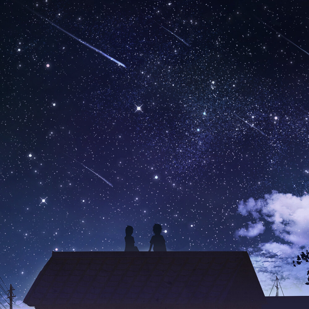 Домашнее звездное небо. Ночное небо. Звездное небо. Падающая звезда. Звезда над крышей.