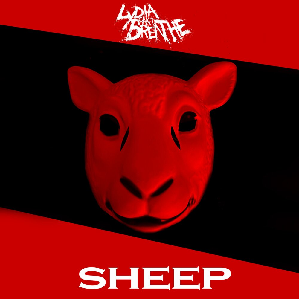 Sheep lyrics. Key flock альбом.