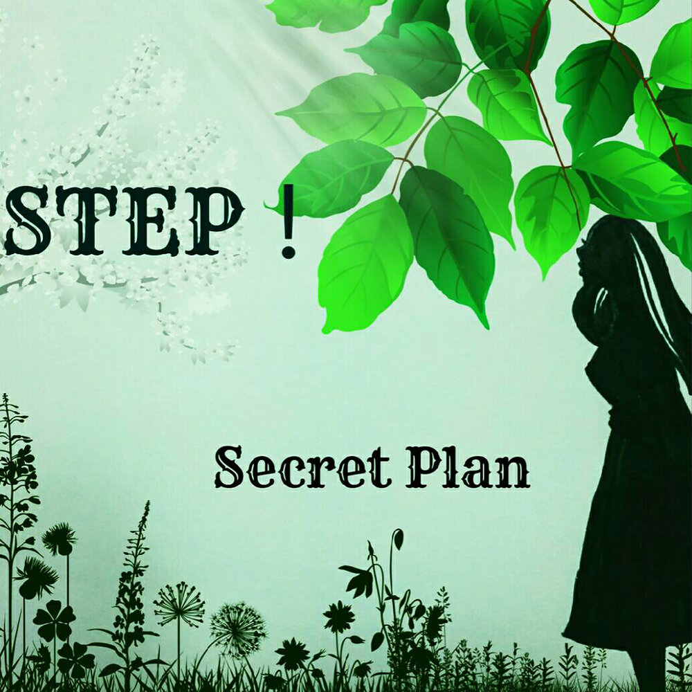 Step secrets. Secret Plan. Secret Step. Secret steps. Secret Plan Larino.
