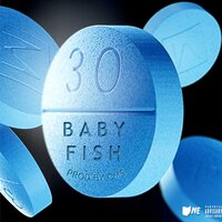 Baby Fish