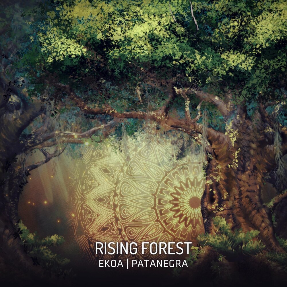 Forest rise