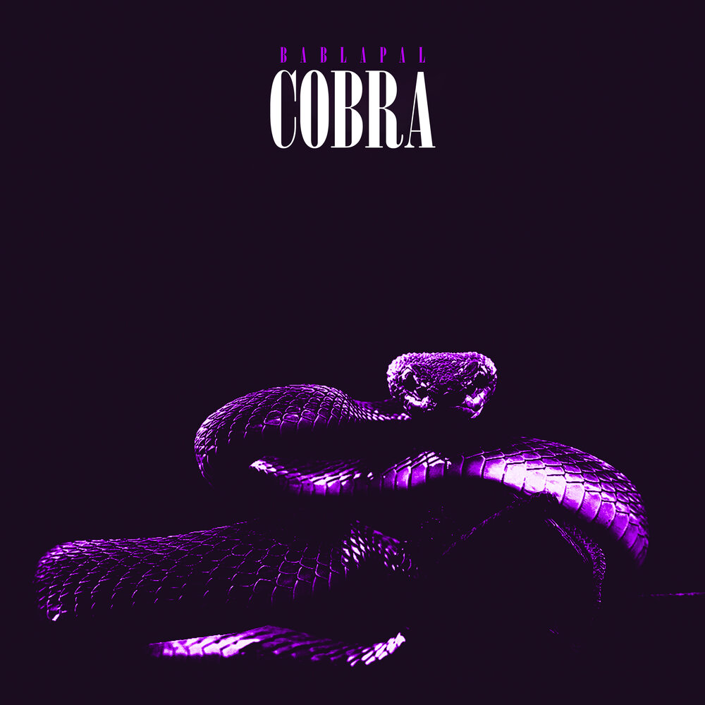 Песня cobra. Мелодия для кобры. Кобра музыка. Кобра слушать. Cobra альбом песни.