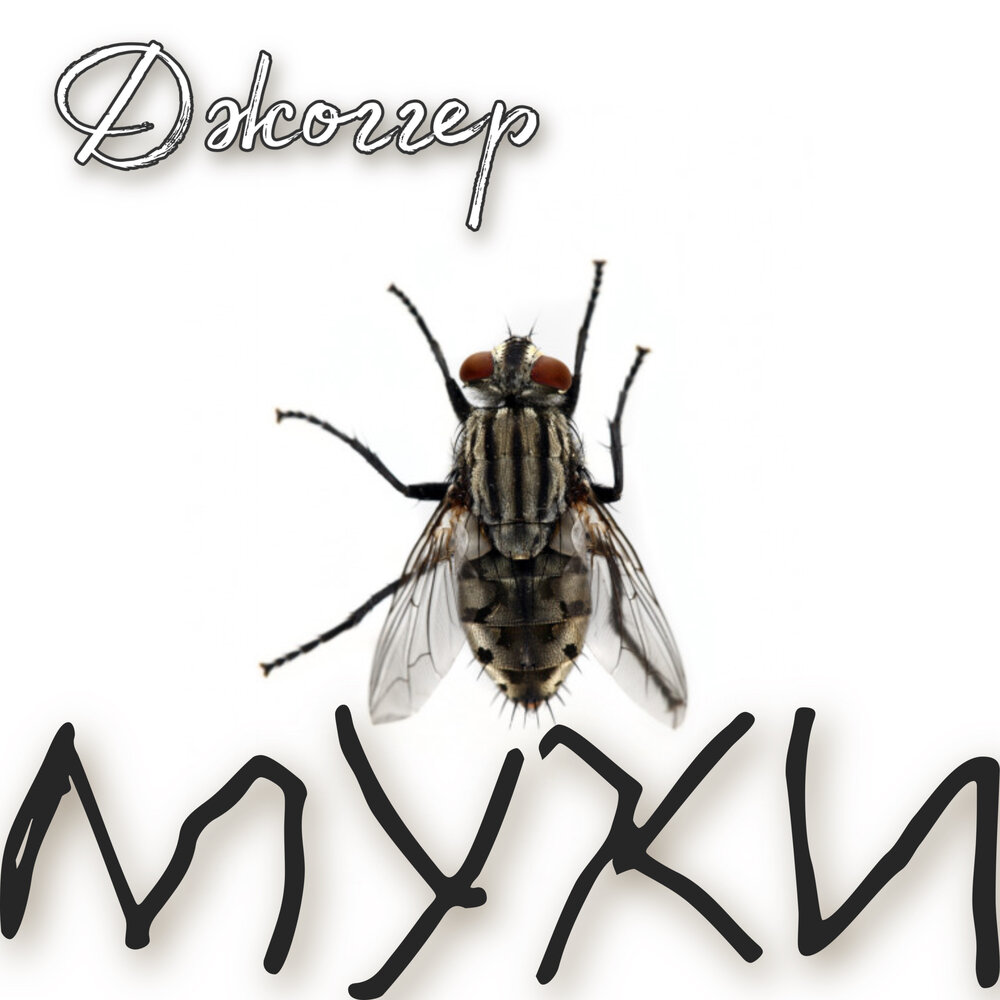 песня мухи стих. гитара в меху. муха тоже вертолёт без коробки передач. мухи песня слушать. муха слева,муха сррава пе ня.