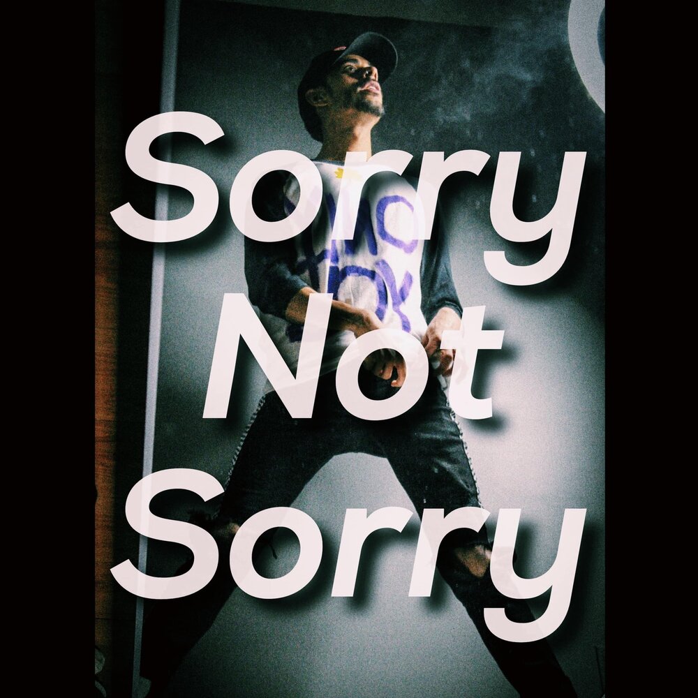 Музыку sorry. Sorry not sorry. Sorry слушать. Regret песня. Рок песня sorry.