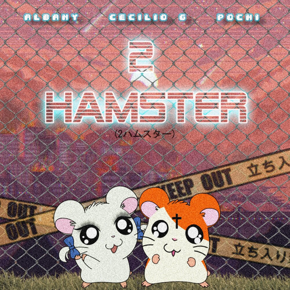 Hamster карты до 25 уровня. Второе комбо в Hamster.