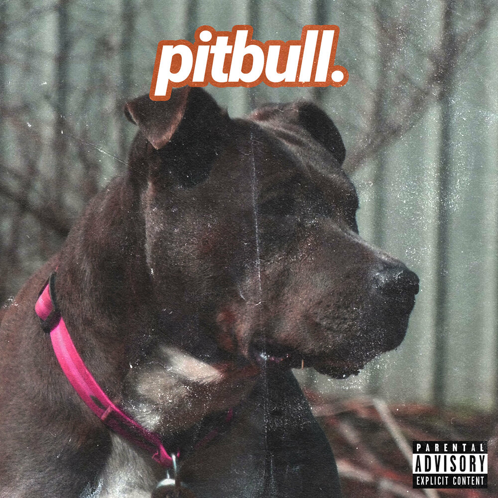 Pitbull альбомы. Питбуль альбом. Стрим питбуль. Pitbull album Cover 1022.