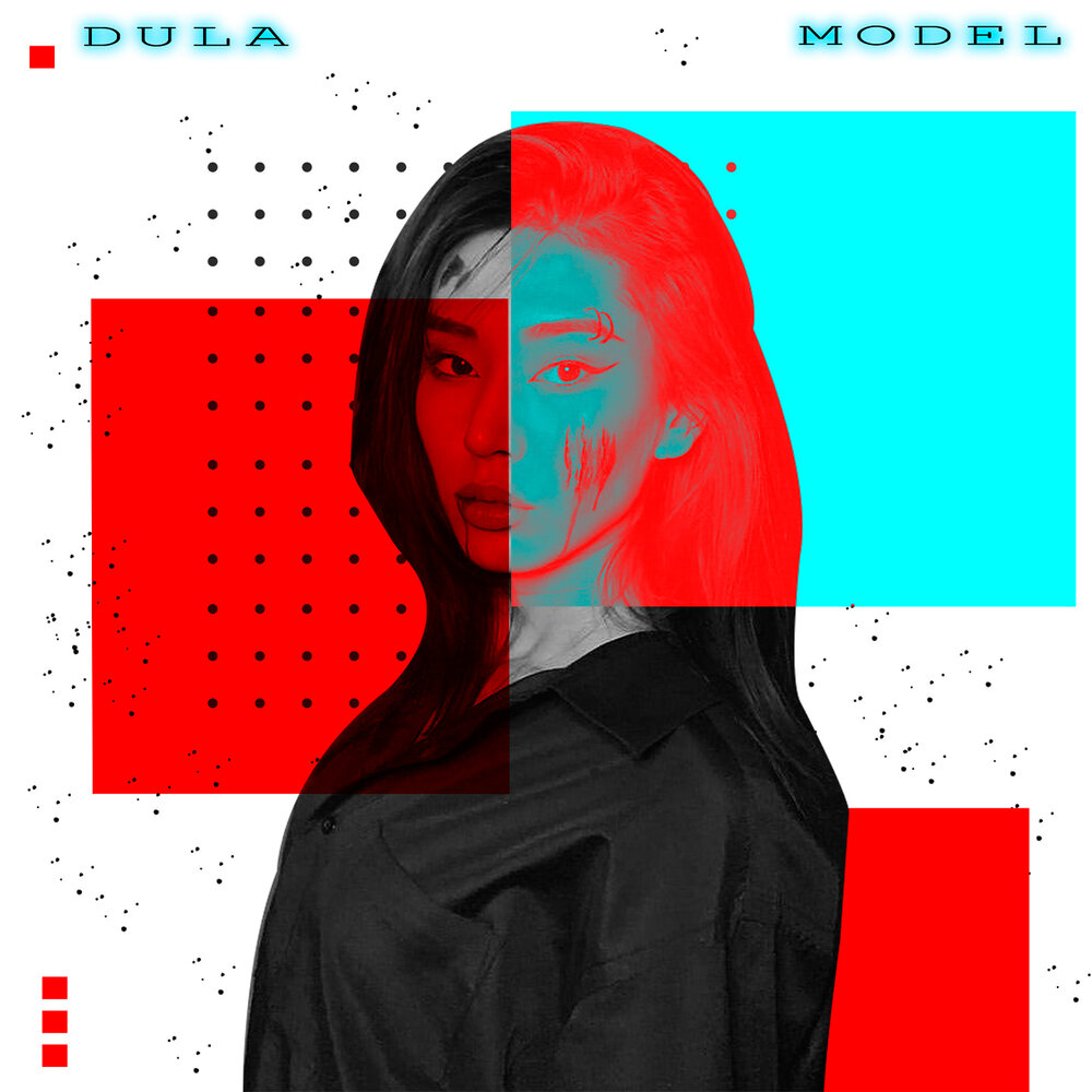 Single model