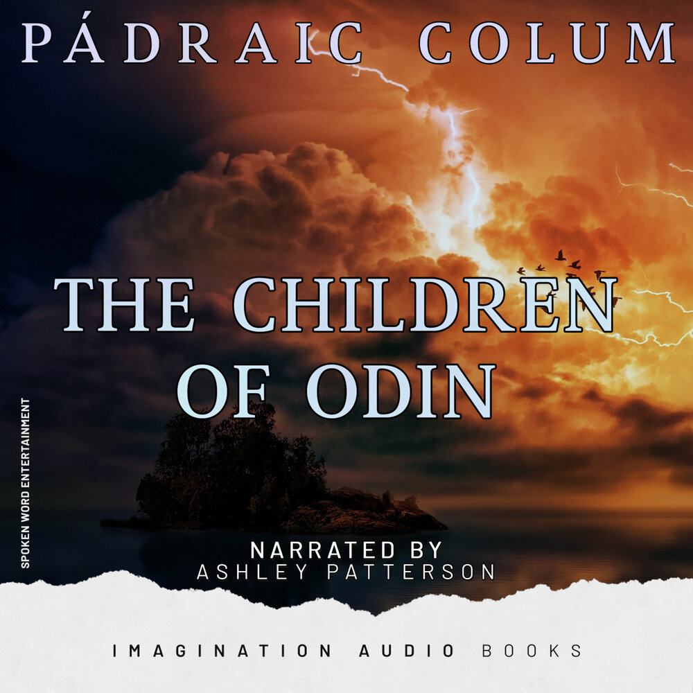 слушать аудиокнигу один день одна ночь