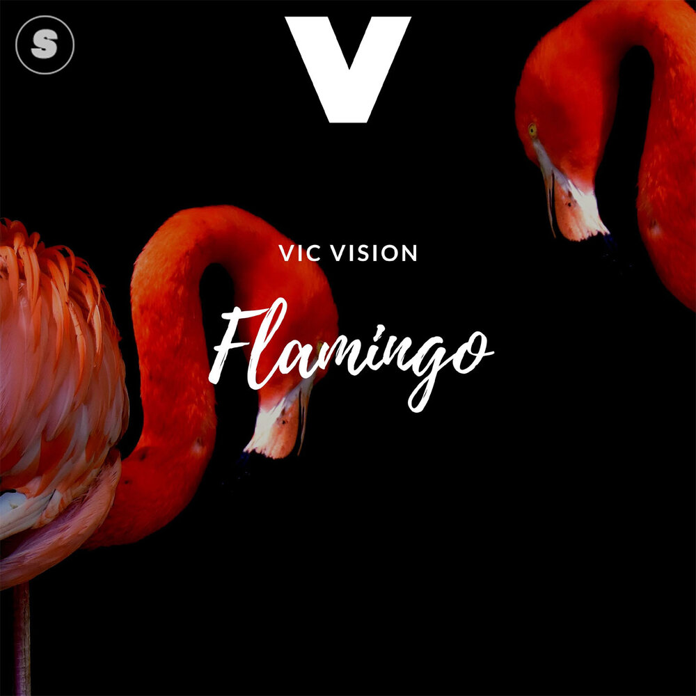 Слушать песню фламинго. Фламинго песня. Victoria Vision.