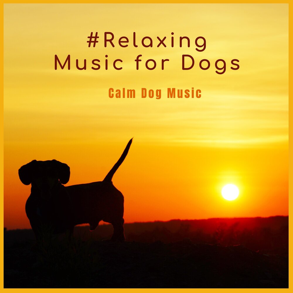 Dog music