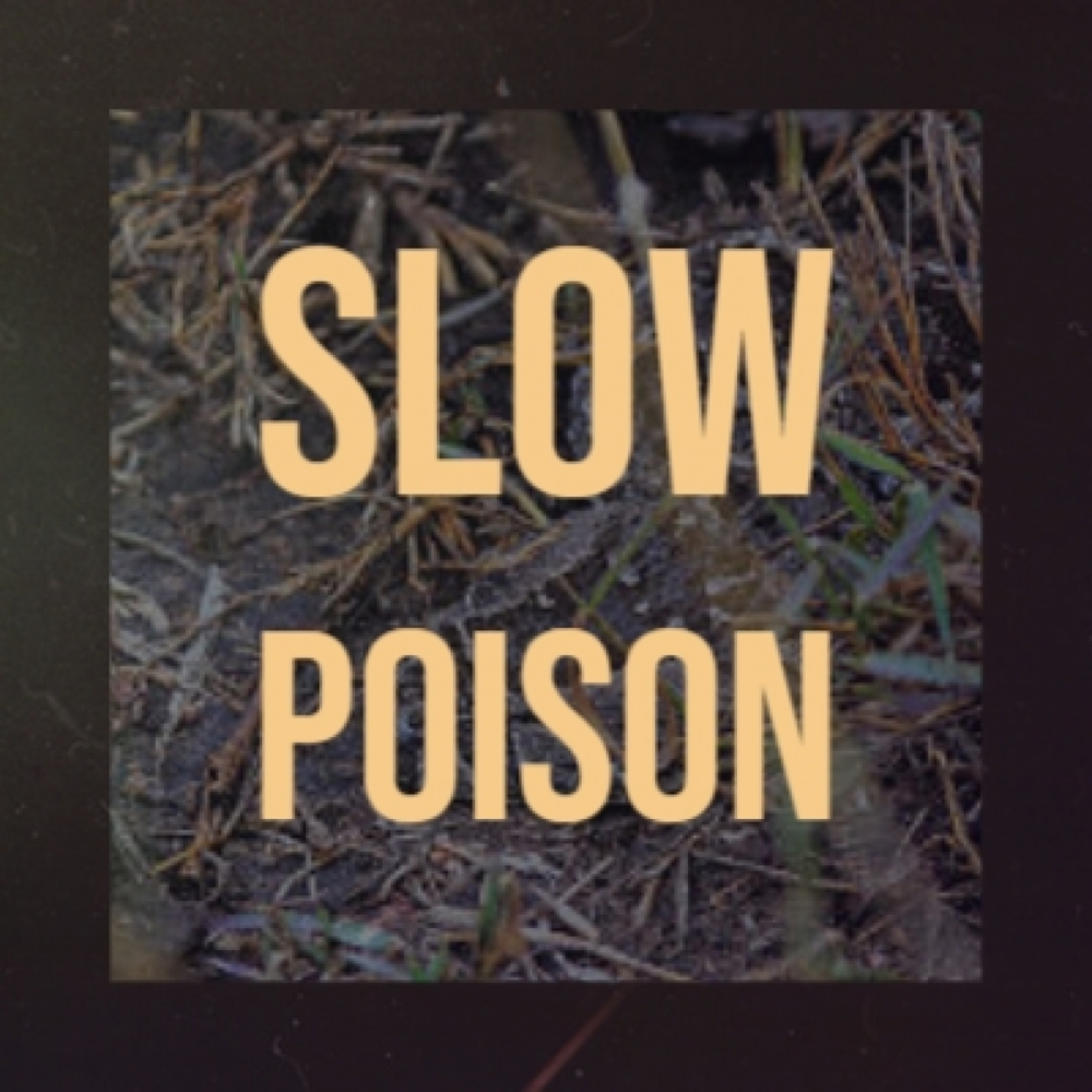 Slow poison. Песня slow poison-mativ. @slow__poison almaty. Poison песня. Poison is stupid.