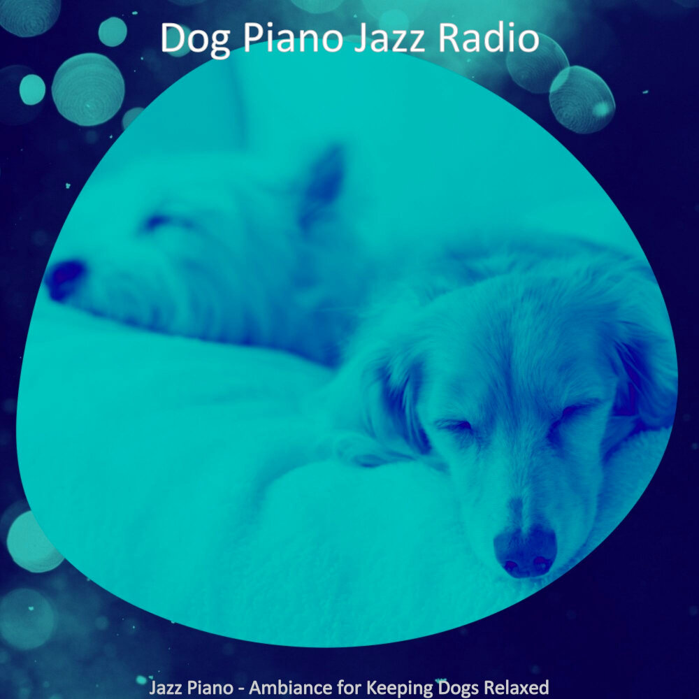 Dog piano. Ритм дог.