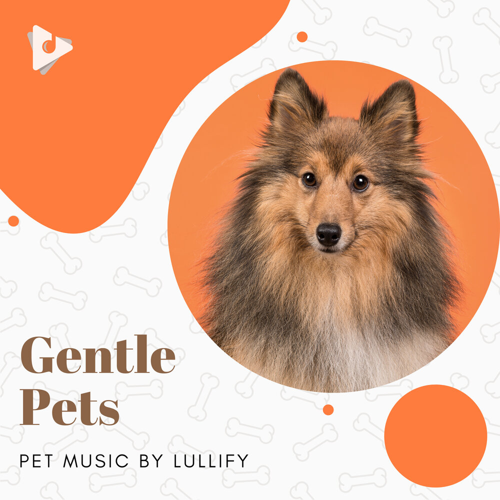 Pets Song. Gently Pet. Music pets