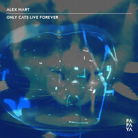 artist-cover