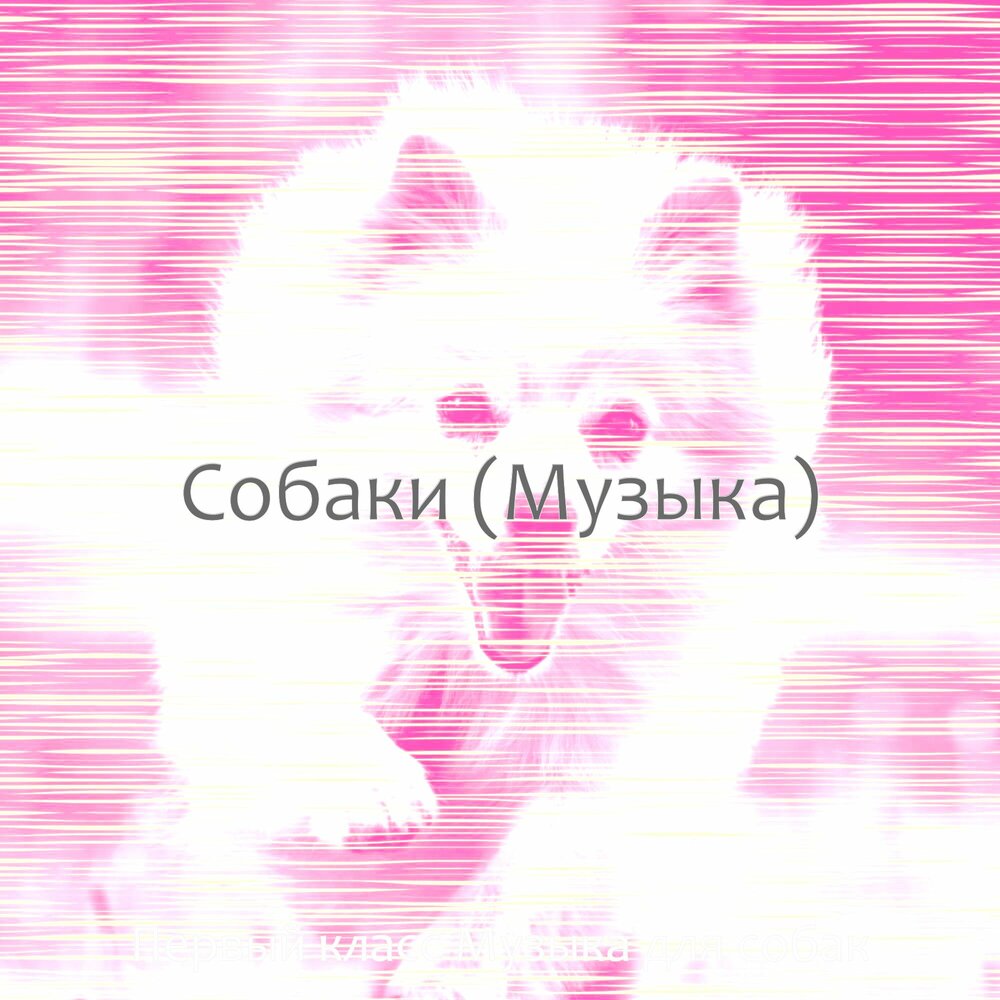 Любимую собачку песня. Музыкальная собачка. Sobaka музыка. Песик музыка.