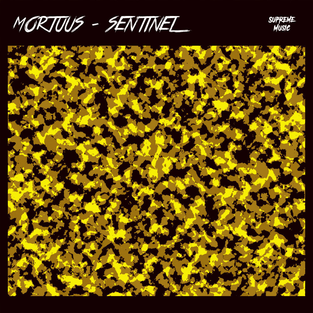 Обложка релиза Sentinel