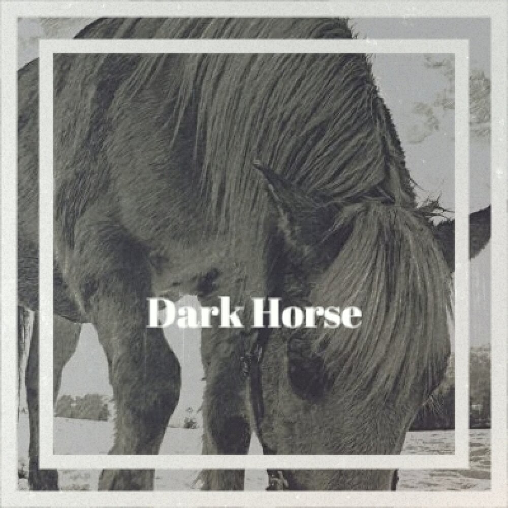 Horses песня текст. Песня дарк Хорс. Тёмная лошадка песня. Картинка трека Dark Horse. Dark Horse песня сцена с собакой.