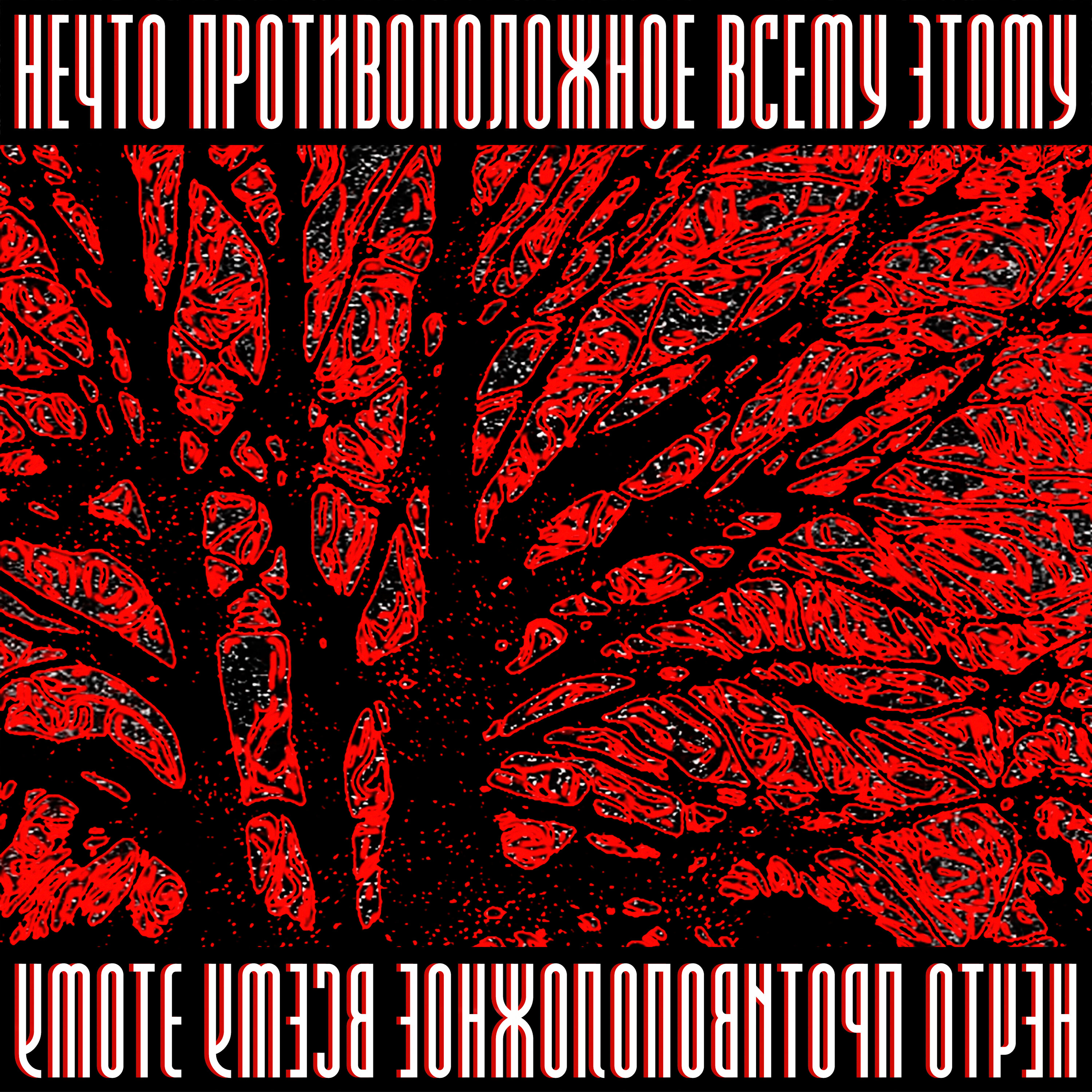 НЕЧТО ПРОТИВОПОЛОЖНОЕ ВСЕМУ ЭТОМУ