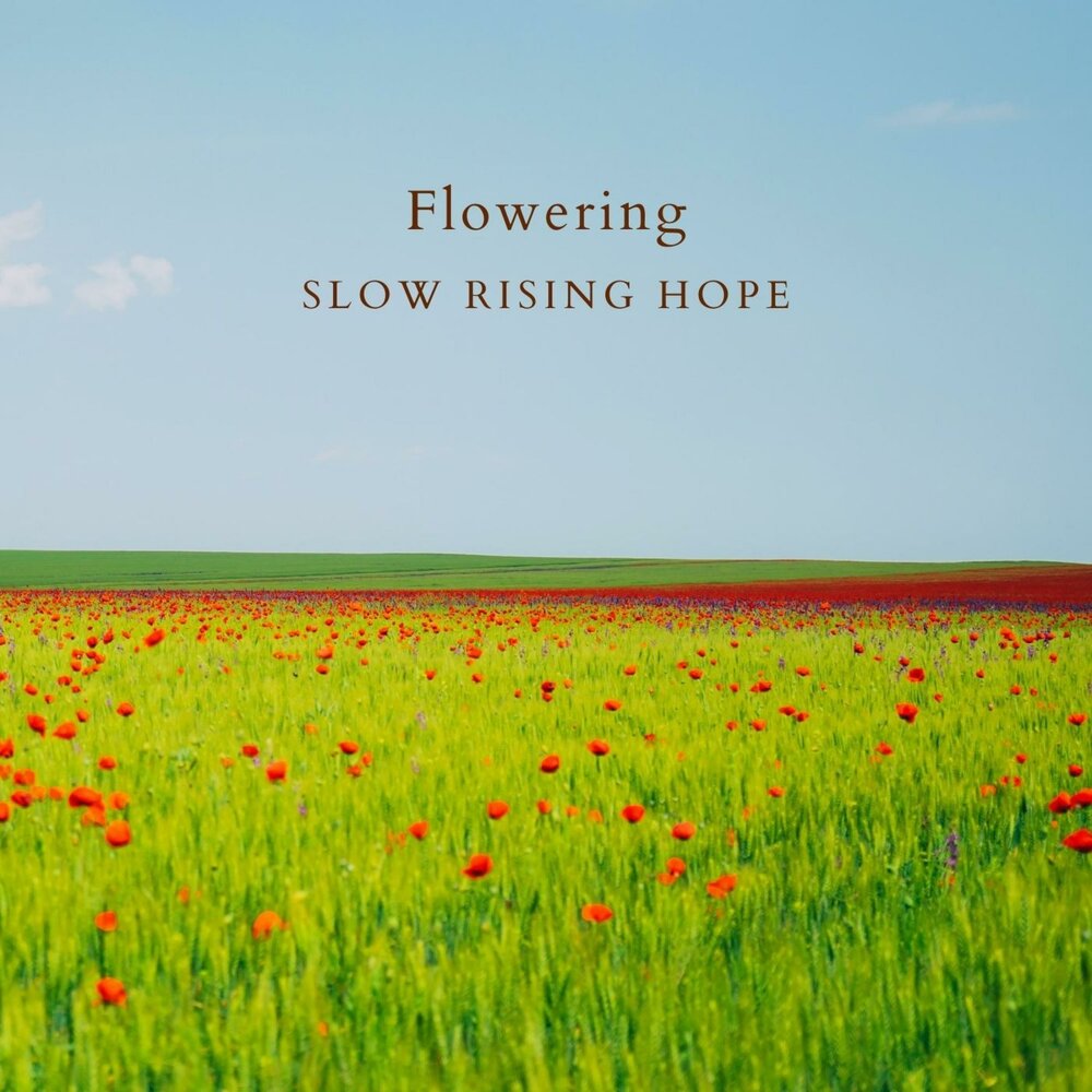 Rising hope. Slow Rise. Rising hope Song. Flowers are Slow.