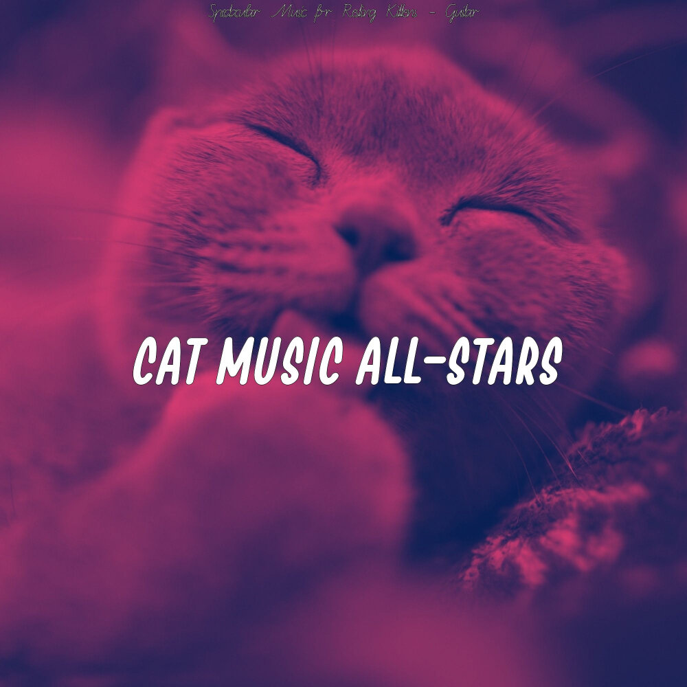 Музыка для кошек. Музыкальный альбом с кошкой. Заспанная кошка. Котик мечты. Кошки память слушать