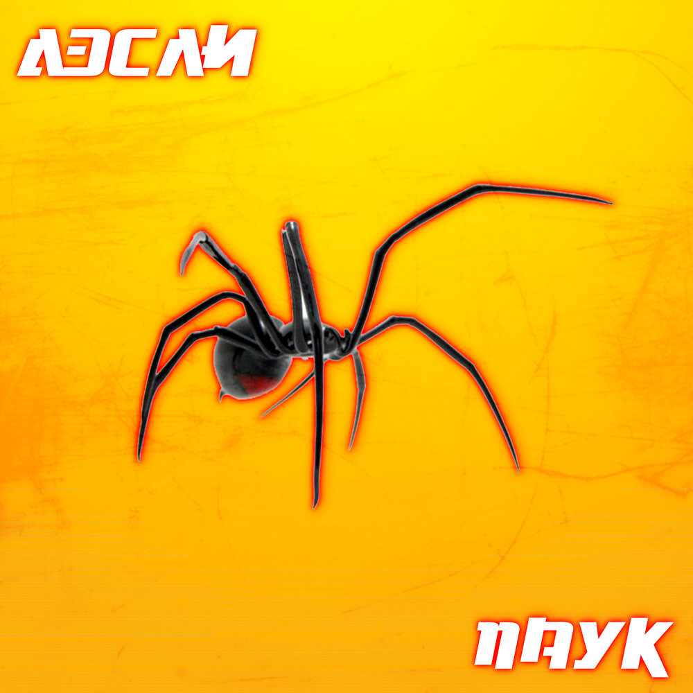 Паутина из ниток. Звук паука. Картинка меню музыкальный паук. Паук larinioides patagiatus. Паук альбом.